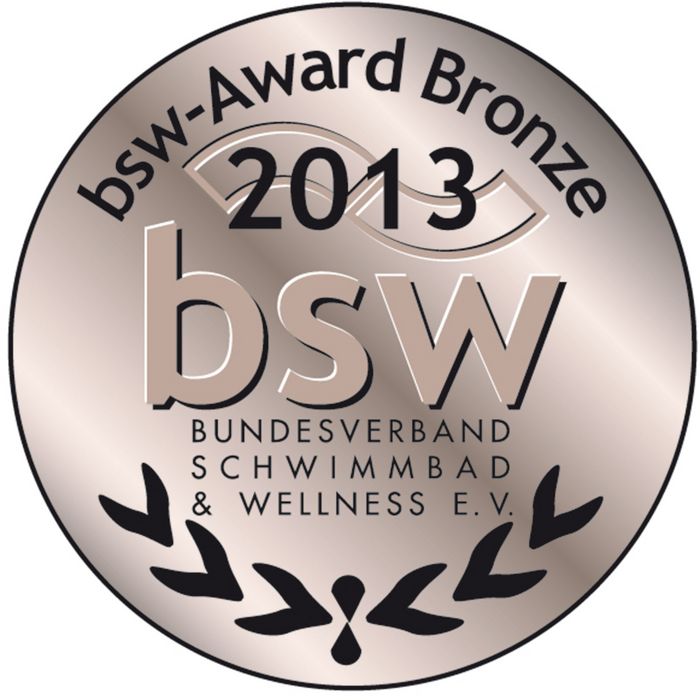 BSW-Award 2013